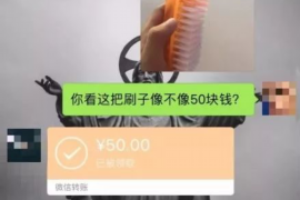 东海为什么选择专业追讨公司来处理您的债务纠纷？