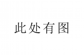 东海专业催债公司的市场需求和前景分析